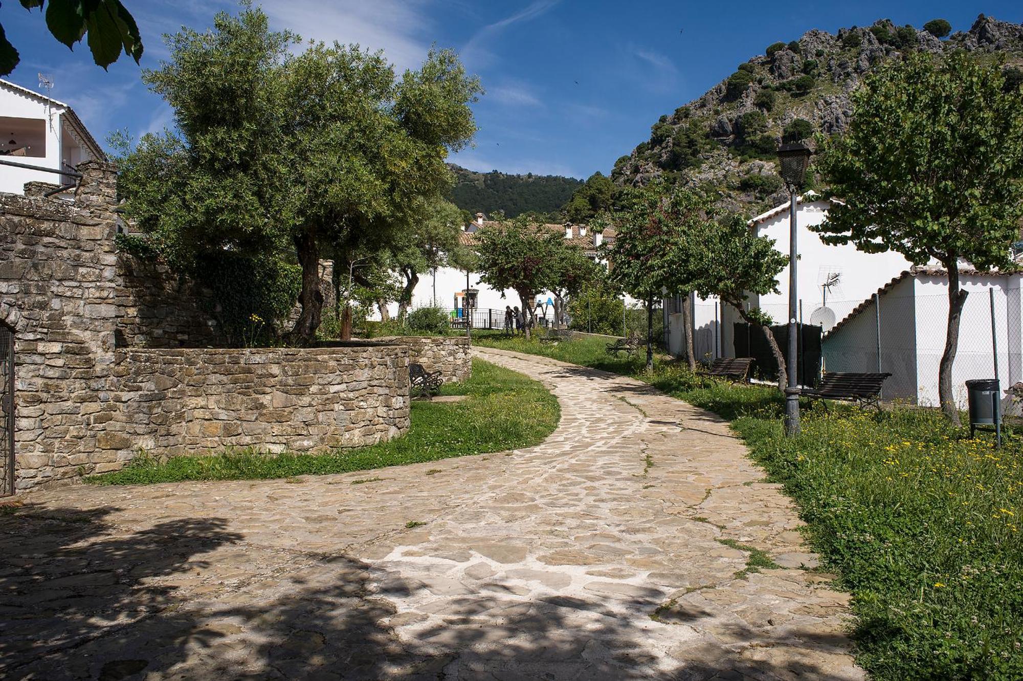 Casa Rural La Callejita 그라잘레마 외부 사진